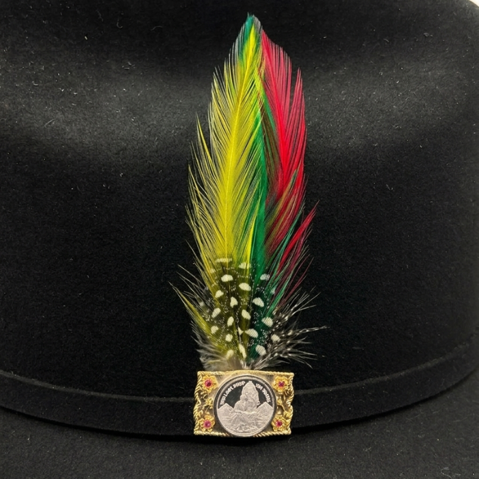 NEW Multicolor Feather 6 Pack & 1 Single Feather Pluma Classic Stetson Hat Accessory