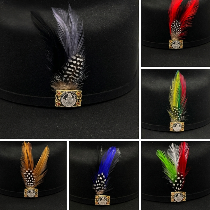 NEW Multicolor Feather 6 Pack & 1 Single Feather Pluma Classic Stetson Hat Accessory