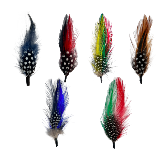 NEW Multicolor Feather 6 Pack & 1 Single Feather Pluma Classic Stetson Hat Accessory